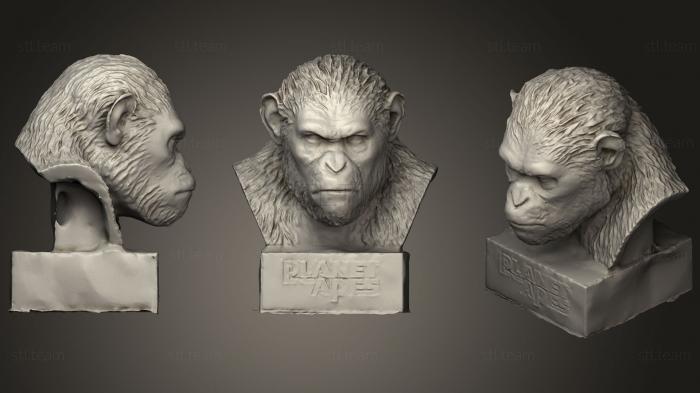 3D model Caesar Ape (STL)